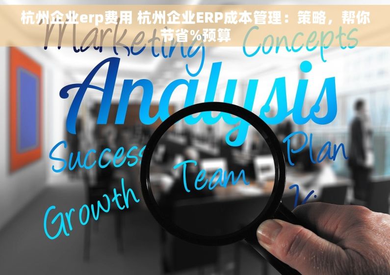 杭州企业erp费用 杭州企业ERP成本管理：策略，帮你节省%预算