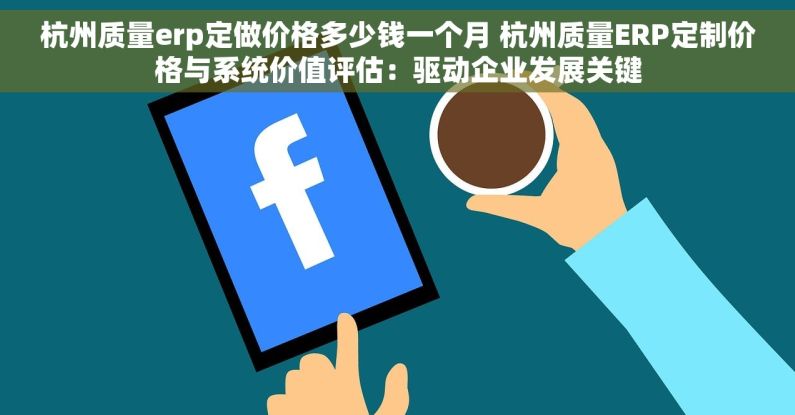杭州质量erp定做价格多少钱一个月 杭州质量ERP定制价格与系统价值评估：驱动企业发展关键
