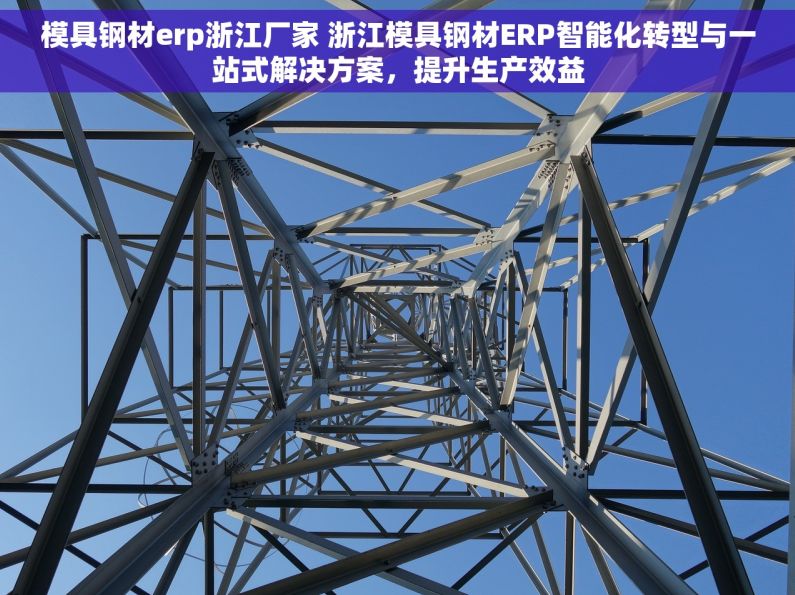 模具钢材erp浙江厂家 浙江模具钢材ERP智能化转型与一站式解决方案，提升生产效益