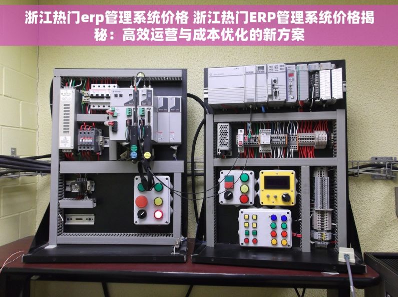 浙江热门erp管理系统价格 浙江热门ERP管理系统价格揭秘：高效运营与成本优化的新方案