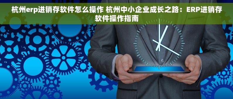 杭州erp进销存软件怎么操作 杭州中小企业成长之路：ERP进销存软件操作指南