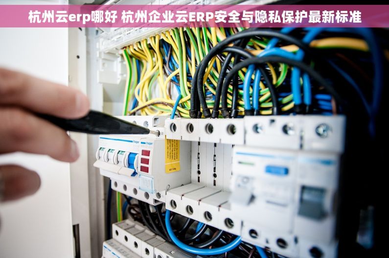 杭州云erp哪好 杭州企业云ERP安全与隐私保护最新标准