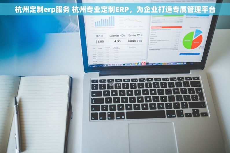 杭州定制erp服务 杭州专业定制ERP，为企业打造专属管理平台