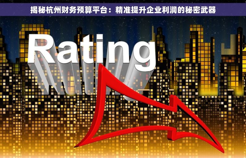 揭秘杭州财务预算平台：精准提升企业利润的秘密武器