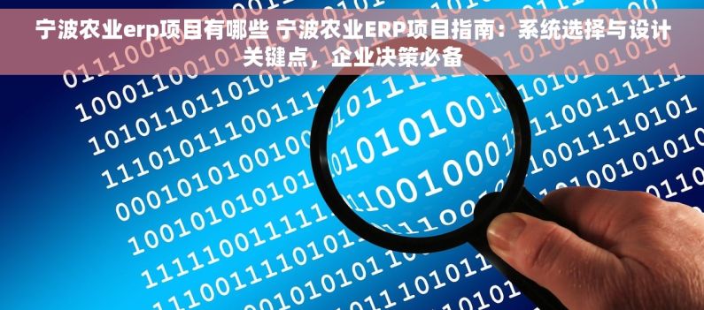 宁波农业erp项目有哪些 宁波农业ERP项目指南：系统选择与设计关键点，企业决策必备