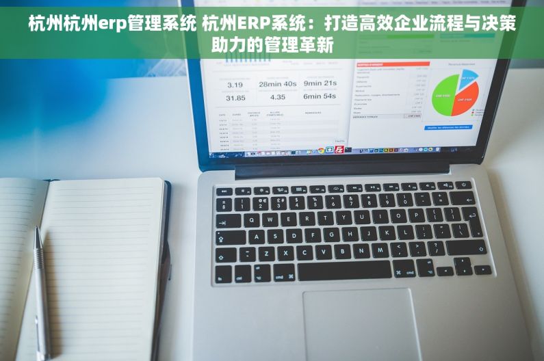 杭州杭州erp管理系统 杭州ERP系统：打造高效企业流程与决策助力的管理革新