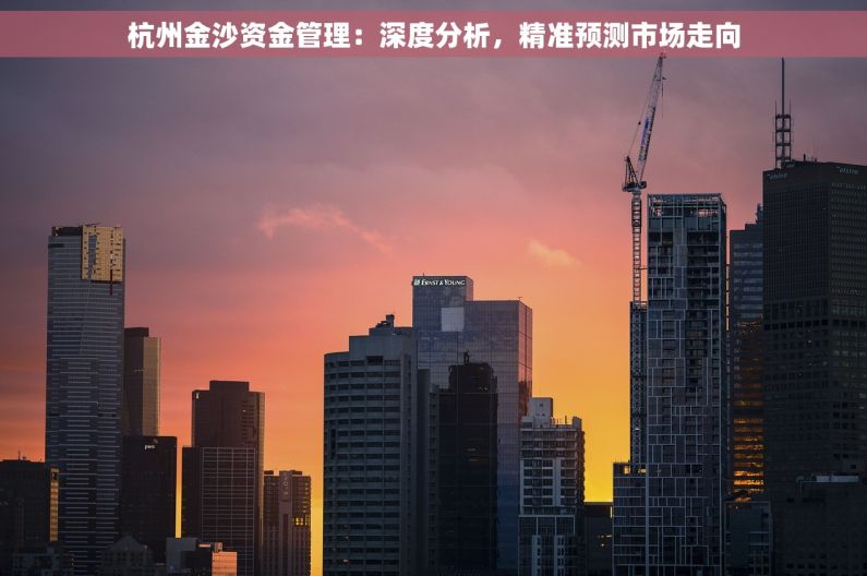 杭州金沙资金管理：深度分析，精准预测市场走向