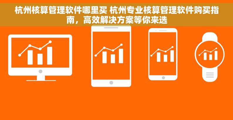 杭州核算管理软件哪里买 杭州专业核算管理软件购买指南，高效解决方案等你来选