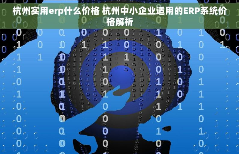 杭州实用erp什么价格 杭州中小企业适用的ERP系统价格解析