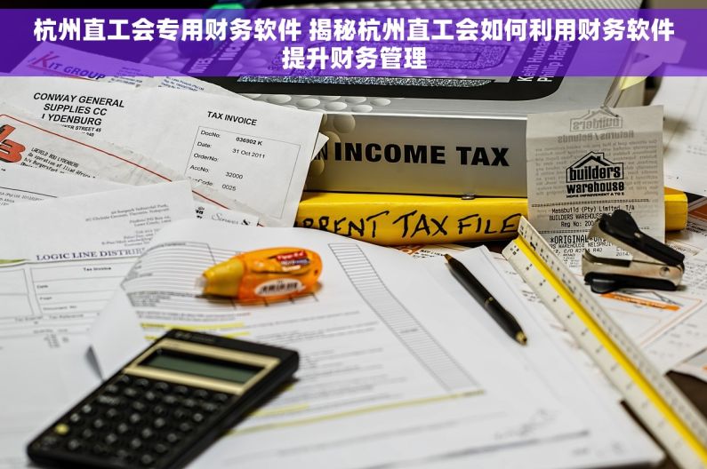 杭州直工会专用财务软件 揭秘杭州直工会如何利用财务软件提升财务管理