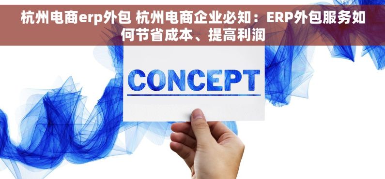 杭州电商erp外包 杭州电商企业必知：ERP外包服务如何节省成本、提高利润