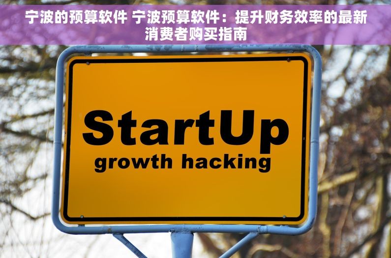 宁波的预算软件 宁波预算软件：提升财务效率的最新消费者购买指南