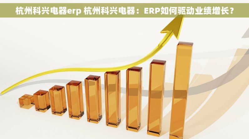 杭州科兴电器erp 杭州科兴电器：ERP如何驱动业绩增长？