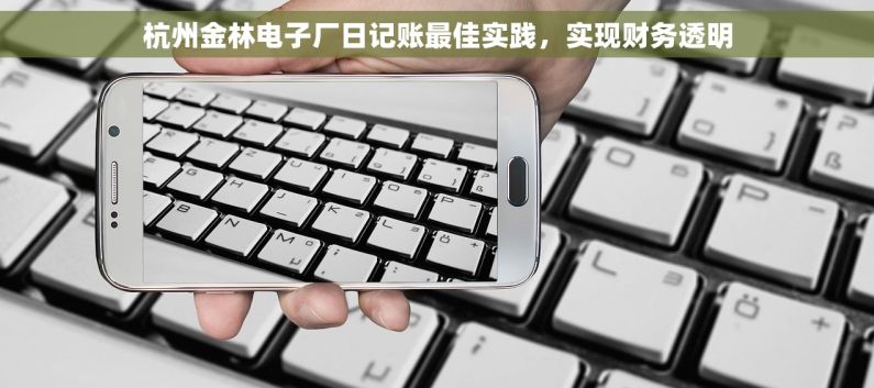 杭州金林电子厂日记账最佳实践，实现财务透明