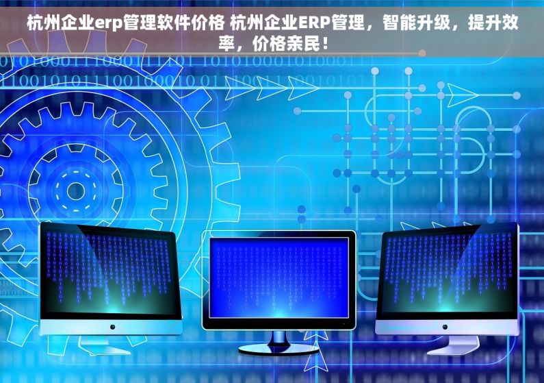 杭州企业erp管理软件价格 杭州企业ERP管理，智能升级，提升效率，价格亲民！