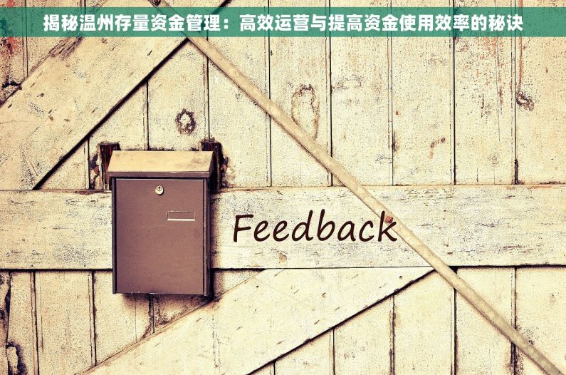 揭秘温州存量资金管理：高效运营与提高资金使用效率的秘诀