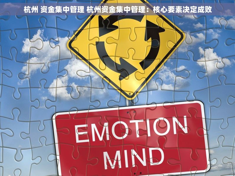 杭州 资金集中管理 杭州资金集中管理：核心要素决定成败