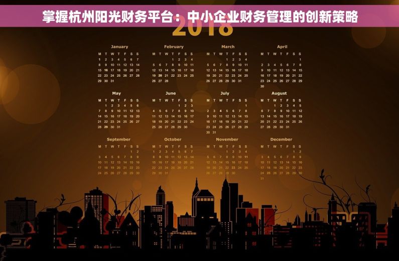 掌握杭州阳光财务平台：中小企业财务管理的创新策略