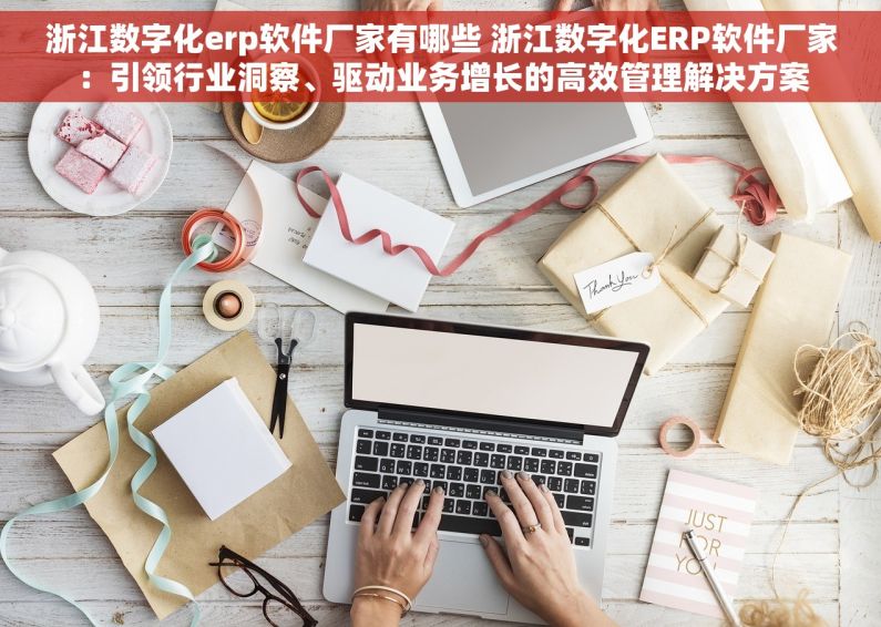 浙江数字化erp软件厂家有哪些 浙江数字化ERP软件厂家：引领行业洞察、驱动业务增长的高效管理解决方案