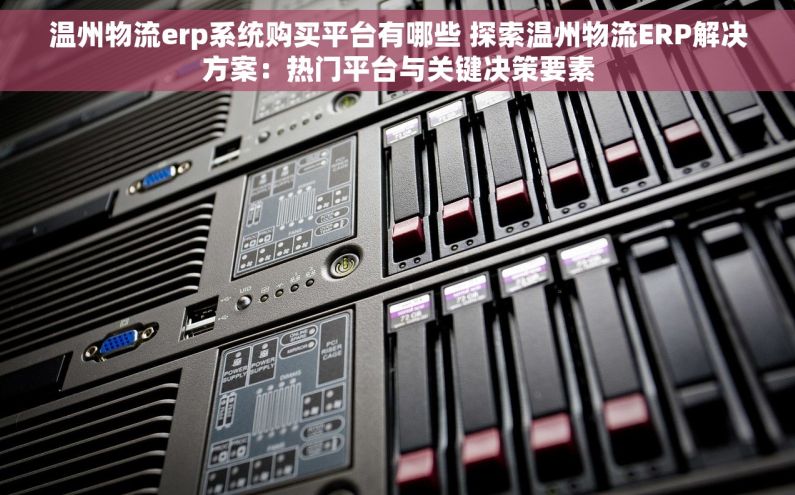 温州物流erp系统购买平台有哪些 探索温州物流ERP解决方案：热门平台与关键决策要素