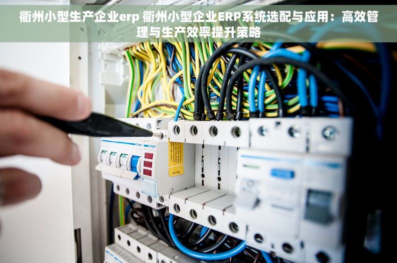 衢州小型生产企业erp 衢州小型企业ERP系统选配与应用：高效管理与生产效率提升策略