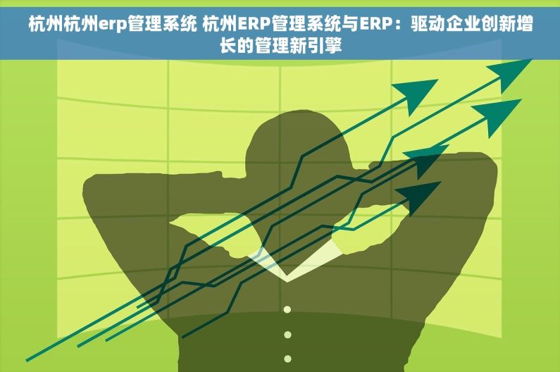 杭州杭州erp管理系统 杭州ERP管理系统与ERP：驱动企业创新增长的管理新引擎