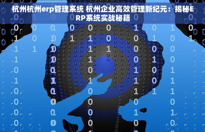 杭州杭州erp管理系统 杭州企业高效管理新纪元：揭秘ERP系统实战秘籍