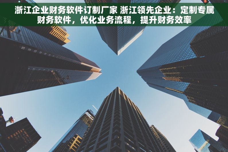 浙江企业财务软件订制厂家 浙江领先企业：定制专属财务软件，优化业务流程，提升财务效率
