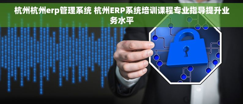 杭州杭州erp管理系统 杭州ERP系统培训课程专业指导提升业务水平