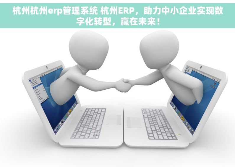 杭州杭州erp管理系统 杭州ERP，助力中小企业实现数字化转型，赢在未来！