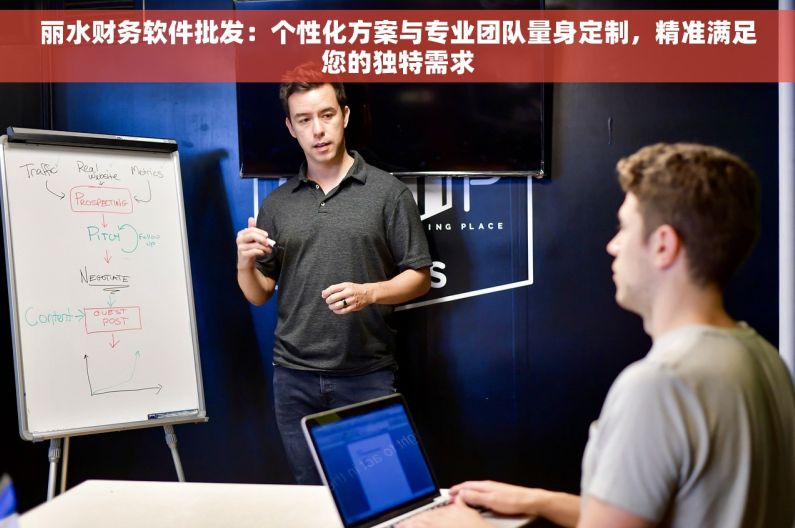 丽水财务软件批发：个性化方案与专业团队量身定制，精准满足您的独特需求