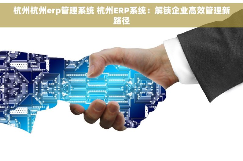 杭州杭州erp管理系统 杭州ERP系统：解锁企业高效管理新路径
