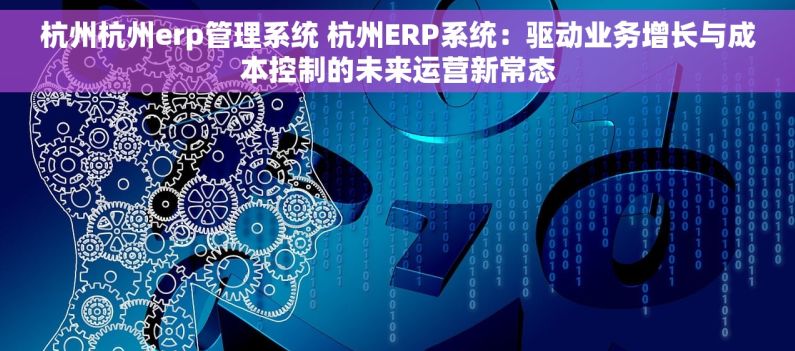 杭州杭州erp管理系统 杭州ERP系统：驱动业务增长与成本控制的未来运营新常态