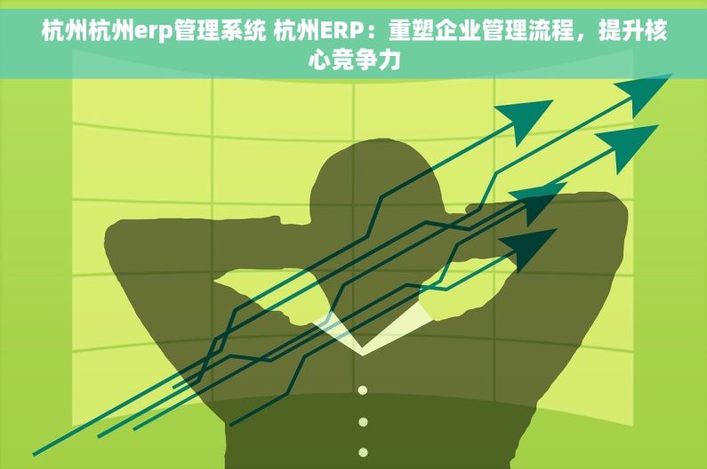 杭州杭州erp管理系统 杭州ERP：重塑企业管理流程，提升核心竞争力
