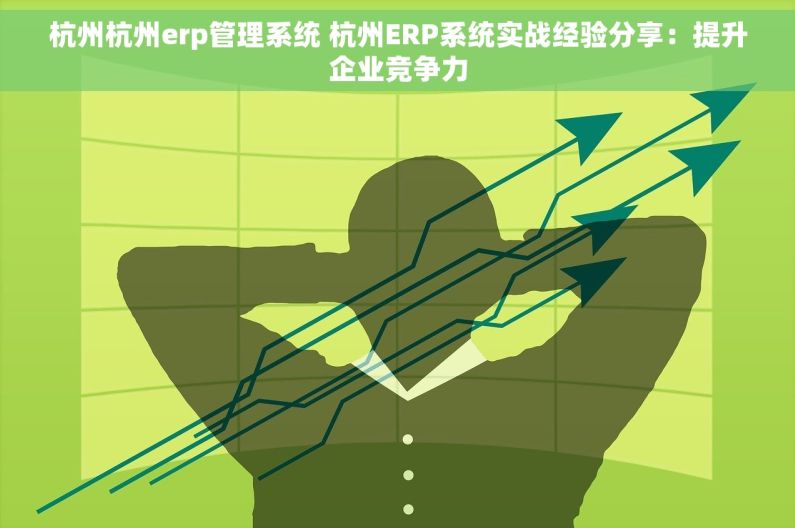 杭州杭州erp管理系统 杭州ERP系统实战经验分享：提升企业竞争力