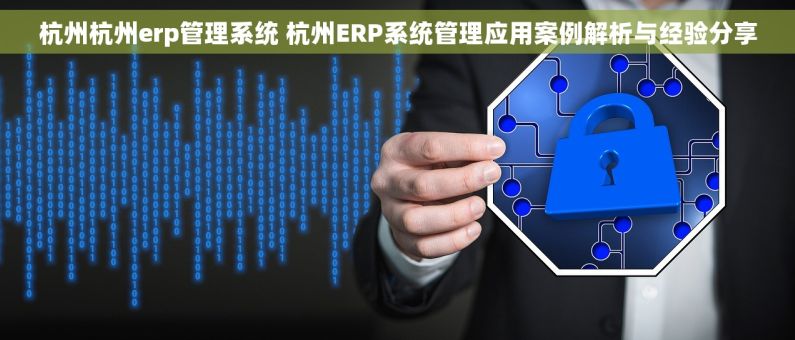 杭州杭州erp管理系统 杭州ERP系统管理应用案例解析与经验分享