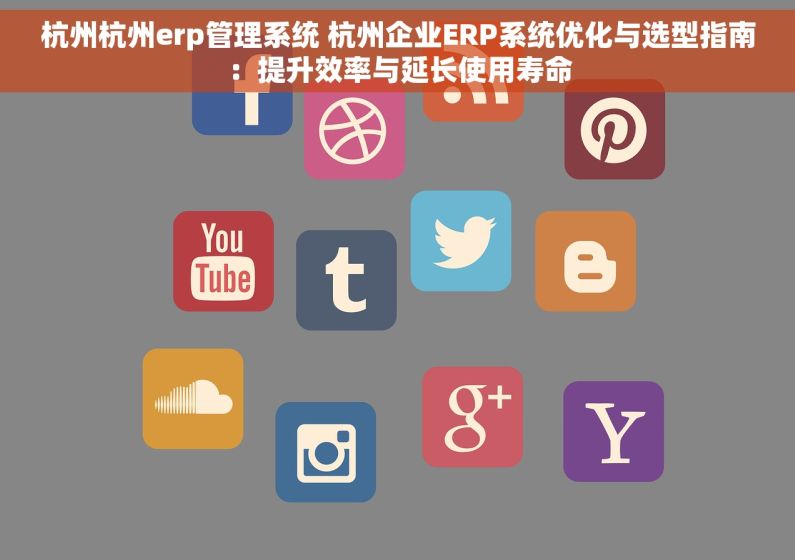 杭州杭州erp管理系统 杭州企业ERP系统优化与选型指南：提升效率与延长使用寿命