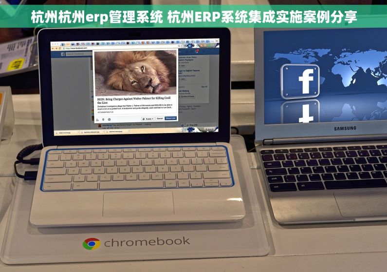 杭州杭州erp管理系统 杭州ERP系统集成实施案例分享