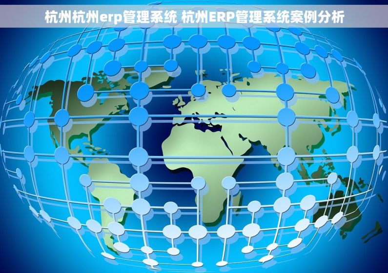 杭州杭州erp管理系统 杭州ERP管理系统案例分析
