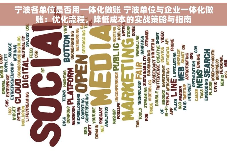 宁波各单位是否用一体化做账 宁波单位与企业一体化做账：优化流程，降低成本的实战策略与指南