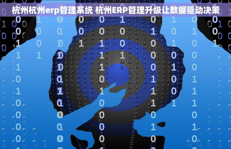 杭州杭州erp管理系统 杭州ERP管理升级让数据驱动决策