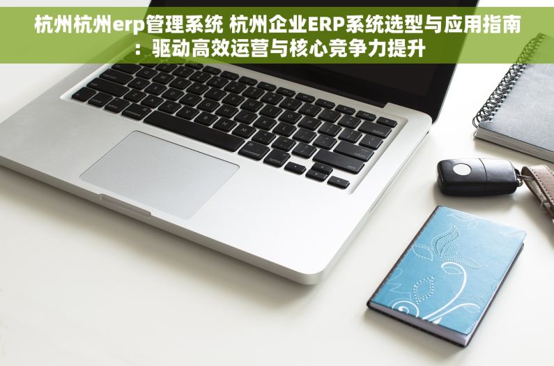 杭州杭州erp管理系统 杭州企业ERP系统选型与应用指南：驱动高效运营与核心竞争力提升