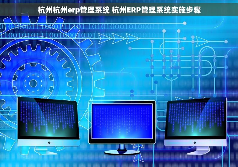 杭州杭州erp管理系统 杭州ERP管理系统实施步骤