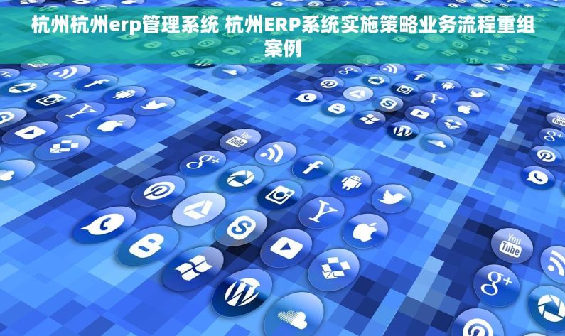 杭州杭州erp管理系统 杭州ERP系统实施策略业务流程重组案例