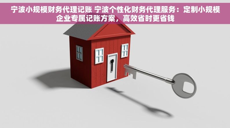 宁波小规模财务代理记账 宁波个性化财务代理服务：定制小规模企业专属记账方案，高效省时更省钱