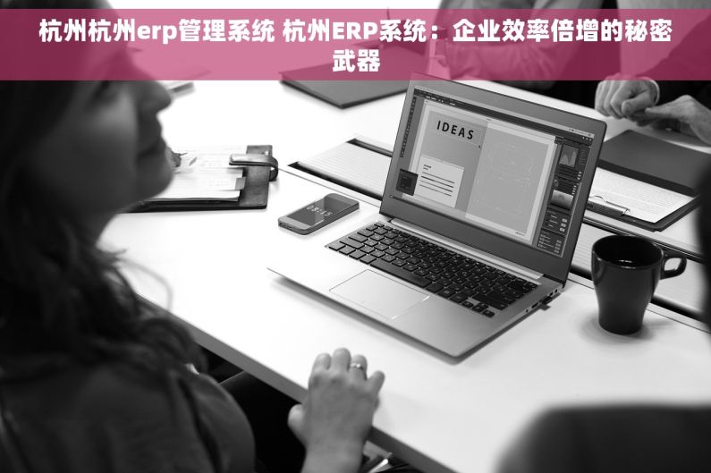 杭州杭州erp管理系统 杭州ERP系统：企业效率倍增的秘密武器