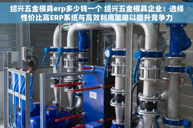 绍兴五金模具erp多少钱一个 绍兴五金模具企业：选择性价比高ERP系统与高效利用策略以提升竞争力