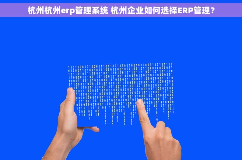 杭州杭州erp管理系统 杭州企业如何选择ERP管理？