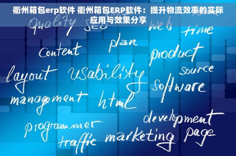 衢州箱包erp软件 衢州箱包ERP软件：提升物流效率的实际应用与效果分享