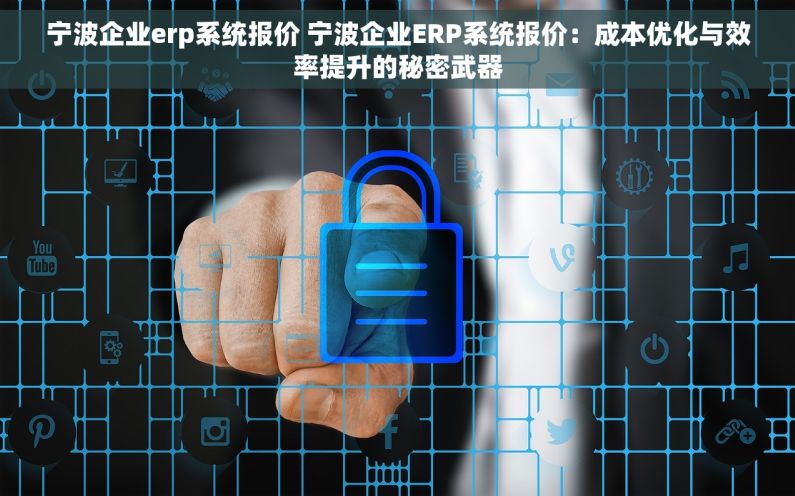 宁波企业erp系统报价 宁波企业ERP系统报价：成本优化与效率提升的秘密武器